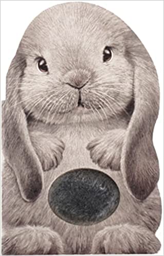 Furry bunny book cover