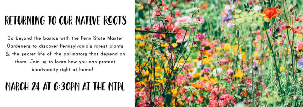 Returning to our Native Roots
Go beyond the basics with the Penn State Master Gardeners to discover Pennsylvania’s rarest plants & the secret life of the pollinators that depend on them. Join us to learn how you can protect biodiversity right at home! 
March 24 at 6:30pm at the mtpl