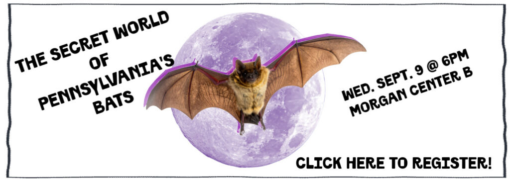 picture of a bat on a purple moon background